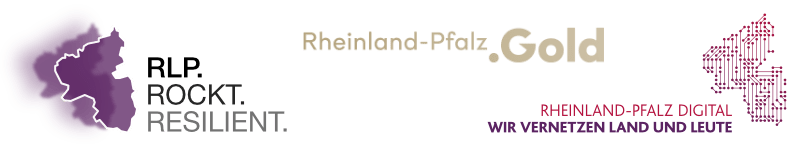 Hackathon der Wirtschaft Rheinland-Pfalz 2020